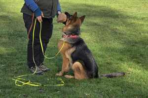 Cathrine Stenmoe 2025