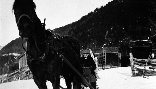 REF-0093 Herremsmoen, Rennebu - hest - Ola Ellevson Voll (Moa) sit i styrslåen med garden Herremsmoen i bakgrunnen