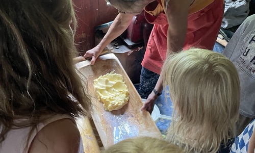 Skoleklasser på Haugen