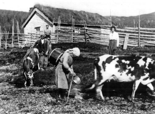 REF-0759 Ilbogen?  ca 1920. Hemtur frå sætra.