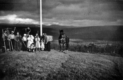 REF-0827 Hæverfallet 1936. Sæterslått. Fv: Martin Havdal, Martin Budeng, Arne Toset, Hulda Slettbakk, Anders Sundset, Oline og Ingunn Sundset, Ledsaak, Ester og Romand Sørensen, Gjertrud, Kirsten og Jens Sundset. Og Litjmæra.