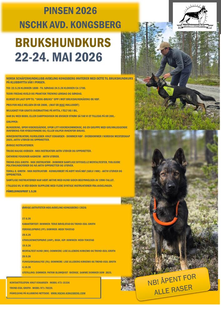 Annonser fra avdelinger 244513