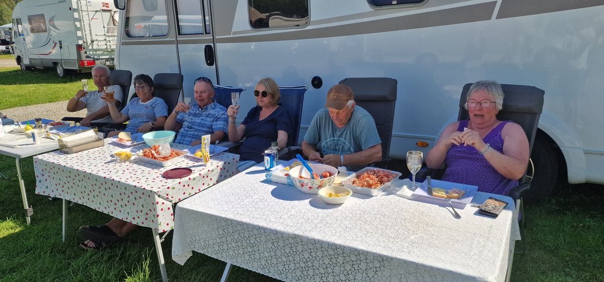 Dokka uke 28 2025 241791