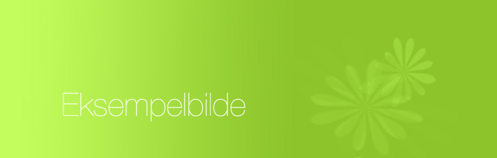 Bildekarusell 123065