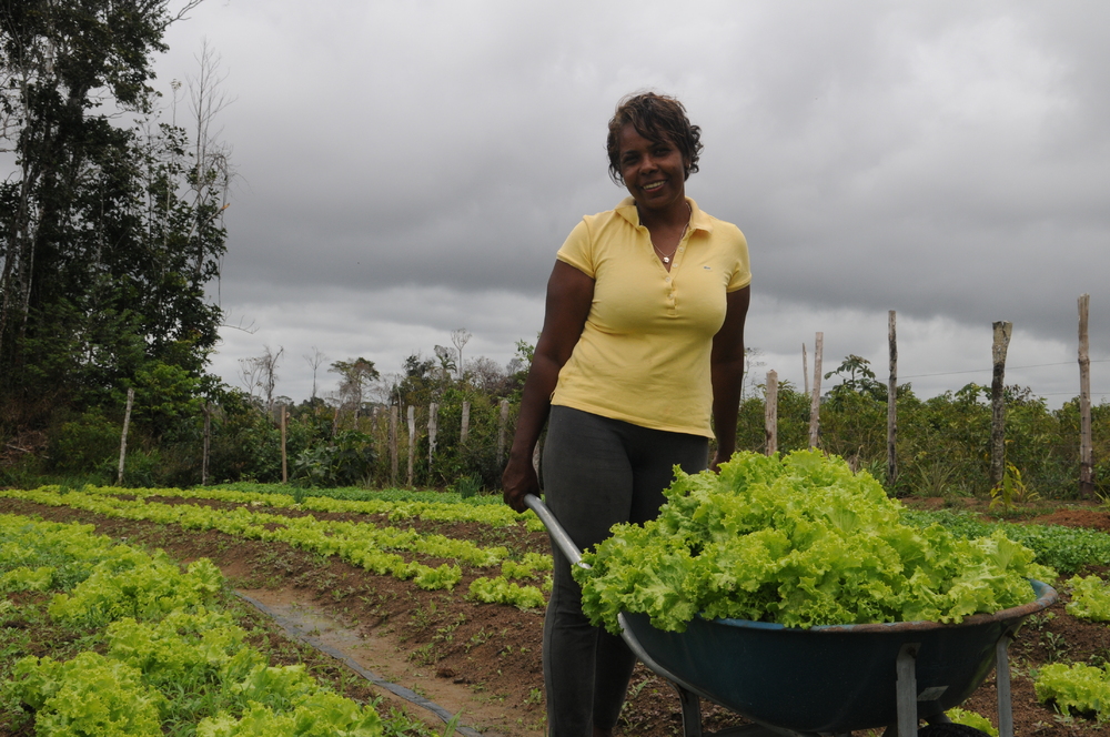 Sitio PrimaVera 242073