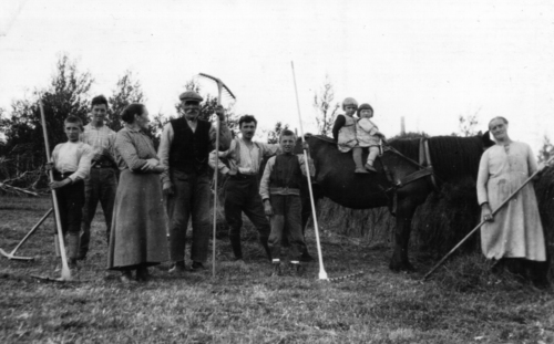 REF-0823 Olsmedalen, Rennebu ca 1930.Seterslått. Fh: Eline Langklopp, Kari Veland, Ingeborg Halgunset, Jon Langklopp, Ola Langklopp, Erik Ytterhus, Kari Ytterhus, ukjent, Erik Langklopp.