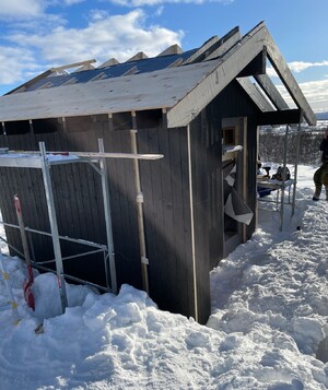 Bod, Falkeriset 2026