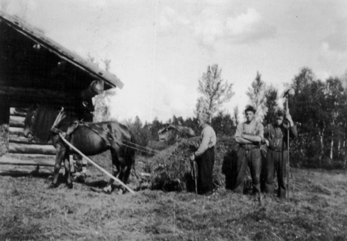 REF-0797 Svarthamran ca 1940. Høykjøring til høyløa. Knut Rogogjerd med sønnene Olav og Harald.