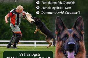 Annonser fra avdelinger