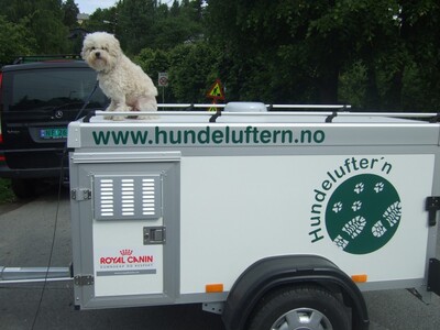 Hundehengeren