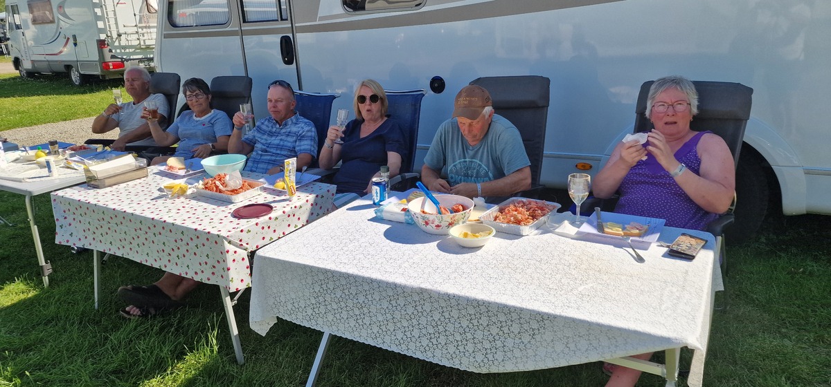 Dokka uke 28 2025 241789