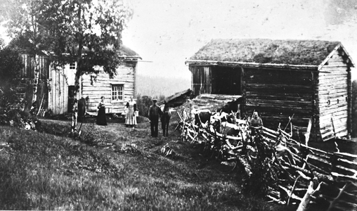 REF-0263  Røåsen, Berkåk ca 1913.
I dag sæter for Gunnesmælan. 
F.v.: truleg Dortea Nerseter (g. Gunnes), søstra Eline (g. Langklopp), broren Nils ved hesten og søstra Ane ved kyrne. (Kfr. REF-0071)
