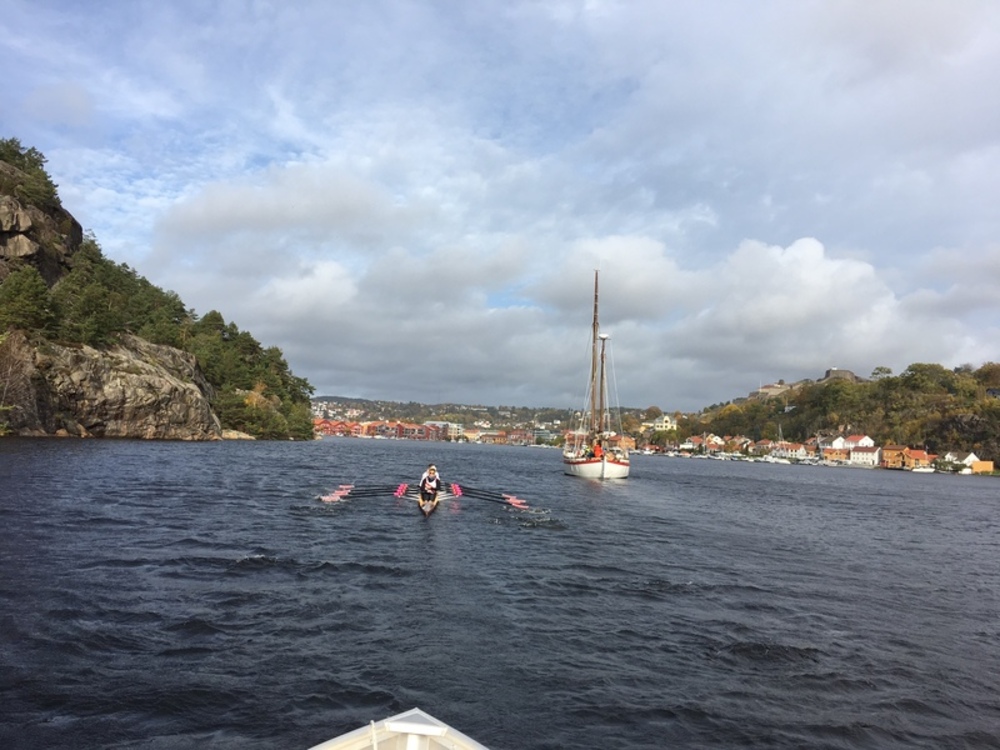 haldensroklub 205781