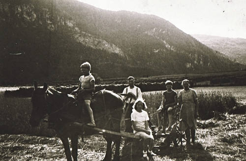 REF-0383 Skjerve/ Stamnan. ca 1941.
Grasslått med hest for hesjing,uti Teia.F.v. Sivert, Inger(på skåka), Steinar (med ljå), Arnt, Karen,- alle Skjerve.