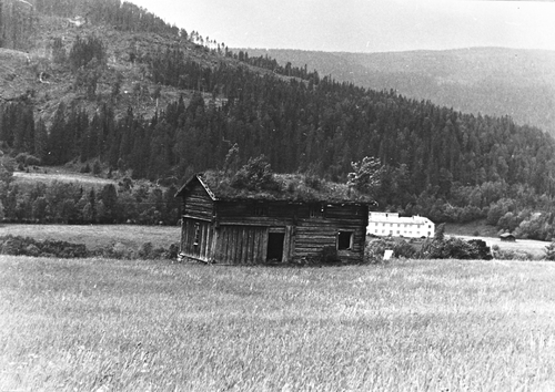 REF-0513 Bortstuggu  Flå gnr. 52/1, Stamnan.Den gamle stuggu frå Nordstuggu Meslo (42/1).Heile søskenflokken der flytta til USA og Bortstuggu Flå kjøpte stuggu og bruka ho som lagerhus.