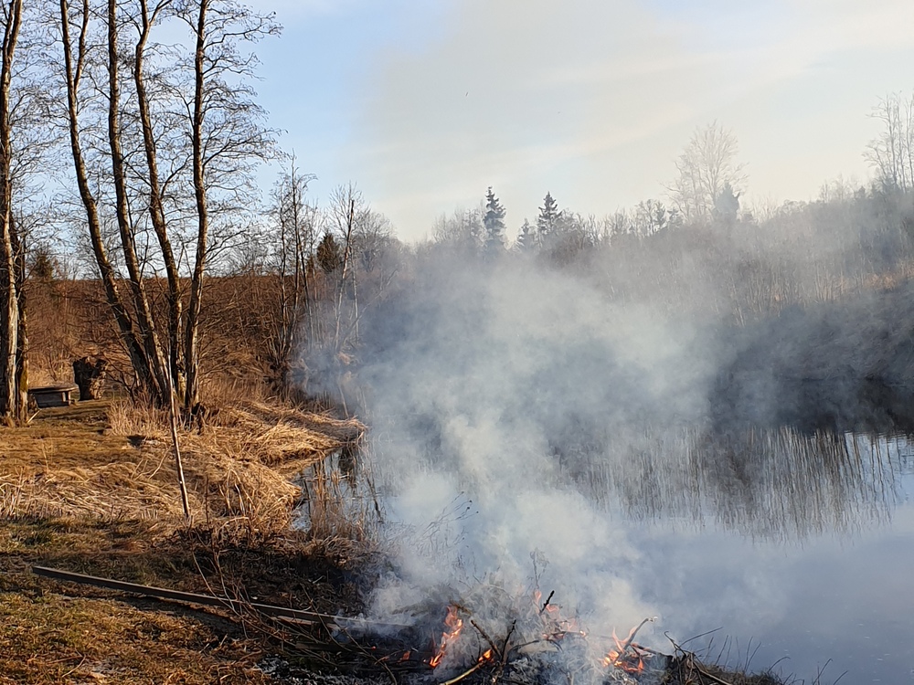 Album (dugnad) 232070