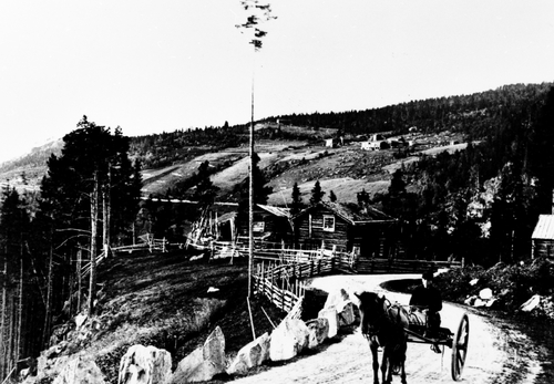 REF-0126   Ulsberg  ca 1890.
Hest og vogn på riksvegen nord for Ulsberg.
Tosetgardane i bakgrunnen.