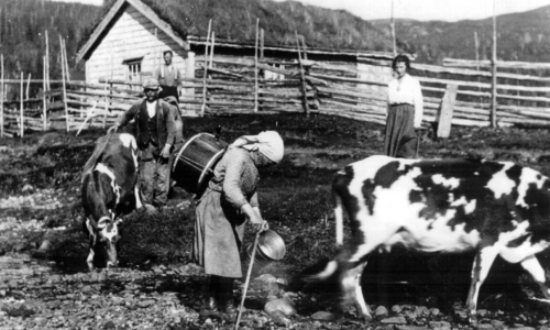 Arbeidsliv og næring