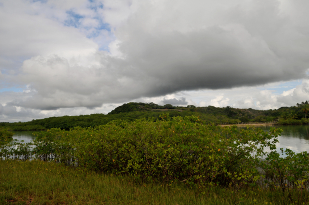 Aluga Casa  do Thor em Caraiva 173794