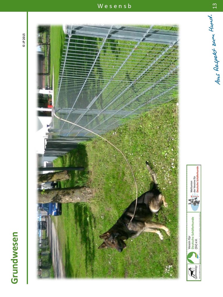 Forberedelser av test og nødvendig utstyr Vesenprøve 235323