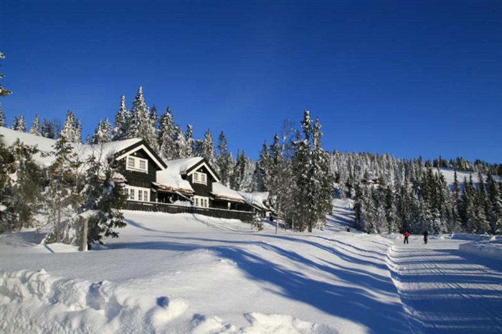 Hytter sjusjøen 217295