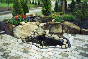 Vann & Beplantning i Hagen