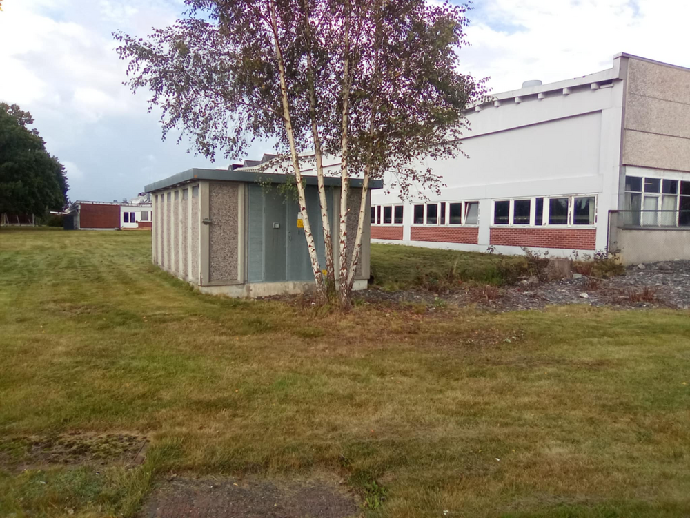 Klippe gress. ETTER 241966