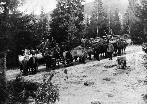 REF-0007 Transport av lokomobil til Kalså-saga på Rennebuskogen. 12 hestar og 12 mann. År 1918.