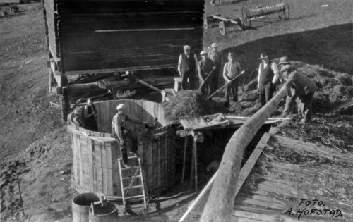 REF-1007 Silolegging Berkåk Eggan Rennebu. Første silolegging etter AIV-prinsippet i Rennebu 14.09.1932