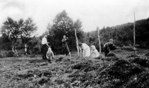 REF-0778 Ilbogen ca 1950. Hesjing på sætra. Fv: Olav O. Voll, Erik Voll, Henrik Hårstad, Inga Voll, Oddny Grøtte (f Voll), Ola Voll.