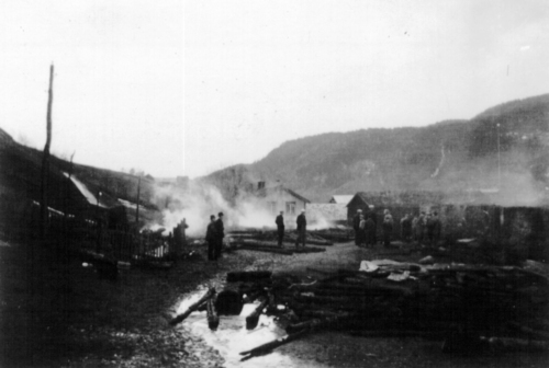 REF-0786 Dagen da heile garden på Bortstuggu Rise brann.