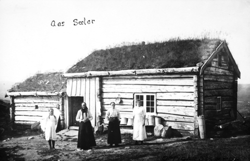 REF-0033 Åssetrene Grindal ca 1930 Seterdrift. Setra til Oppigard Ås. 


 Fra v. : ukjent, Brit Åsmyr, Anne Åsmyr, Marit Aas f Reitås