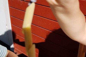 Prosjektarbeid høsten 2020