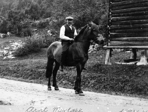 REF- 0020 Myrløkkja, Grindal  ca 1920.
Arnt Myrløkk til hest.