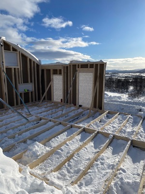 Hytte, Falkeriset 2026