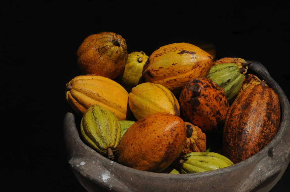 Sitio PrimaVera 242024