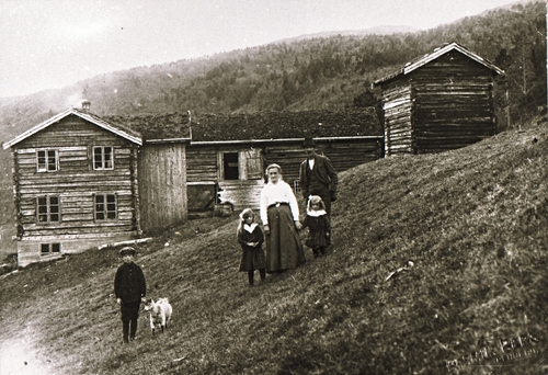 REF-0499 Øverhoel, Stamnan 1919-20. Bruket Høgvoll (bygd 1916). Fv: Torolv, Gunvor, Marit, Jorun og Anders Sunde.