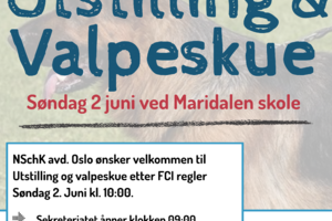 Annonser: LP og Utstilling 2019