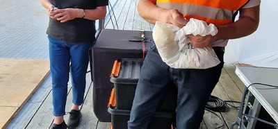 Bryggedans 13.6.23 236411