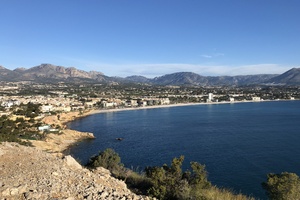 ALBIR