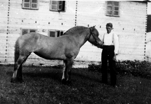 REF-103  Furuly Tverdal  ca 1937/38.
Kristian Tverdal 