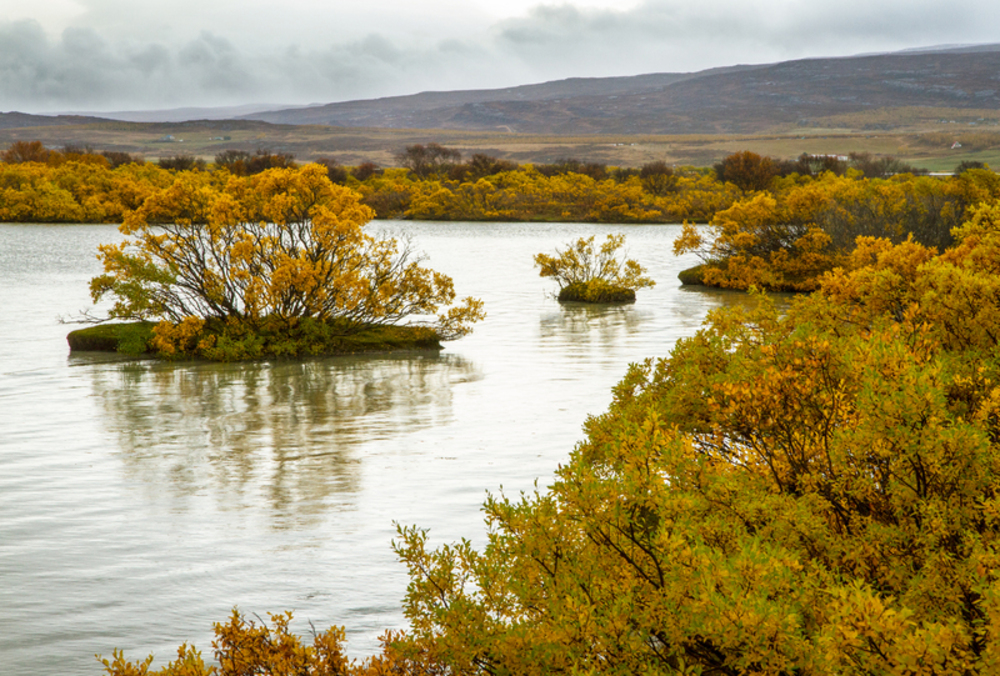 Høst i Egilsstadir.
Foto Geir Lundli