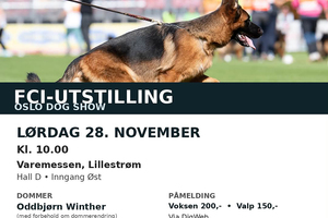 Annonser fra avdelinger