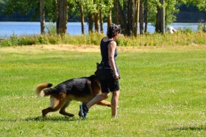 Kurshelg 16-17 juni 2018