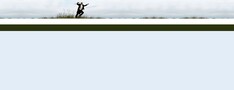 Trompetist Header 245775