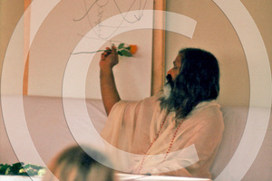 Was Maharishi an Enlightened Master?