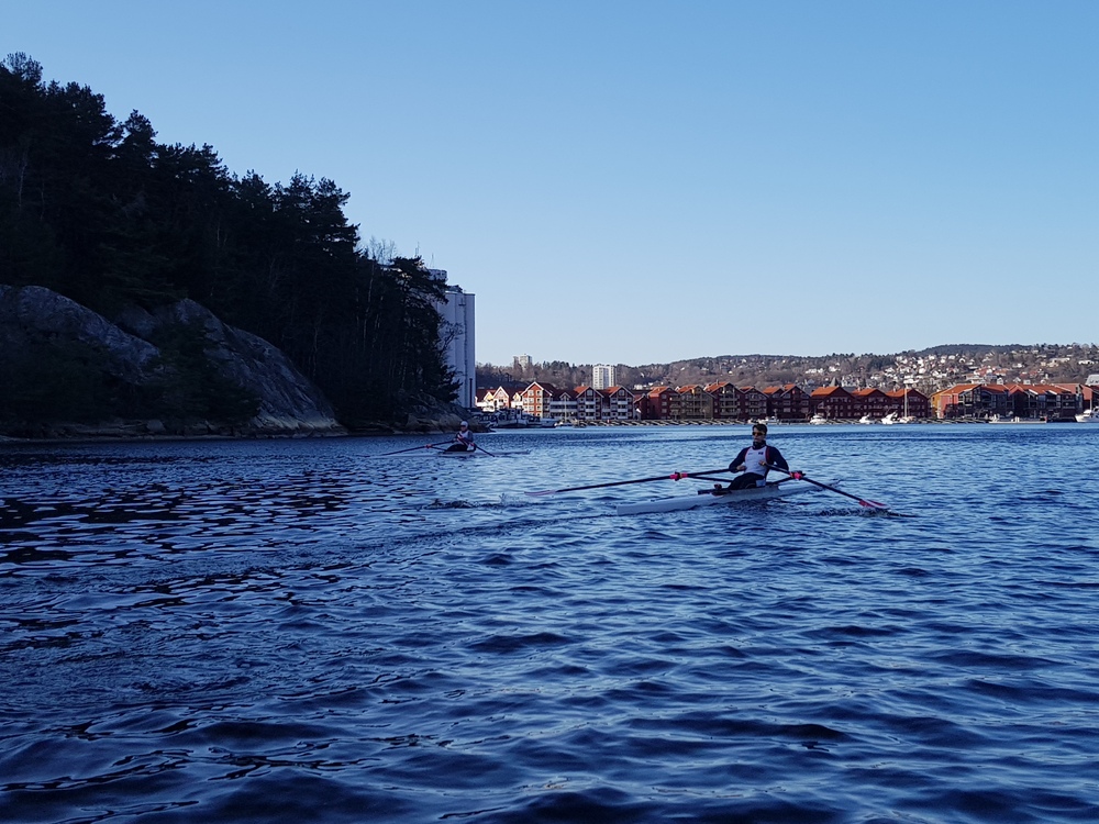 En kald i April 214207