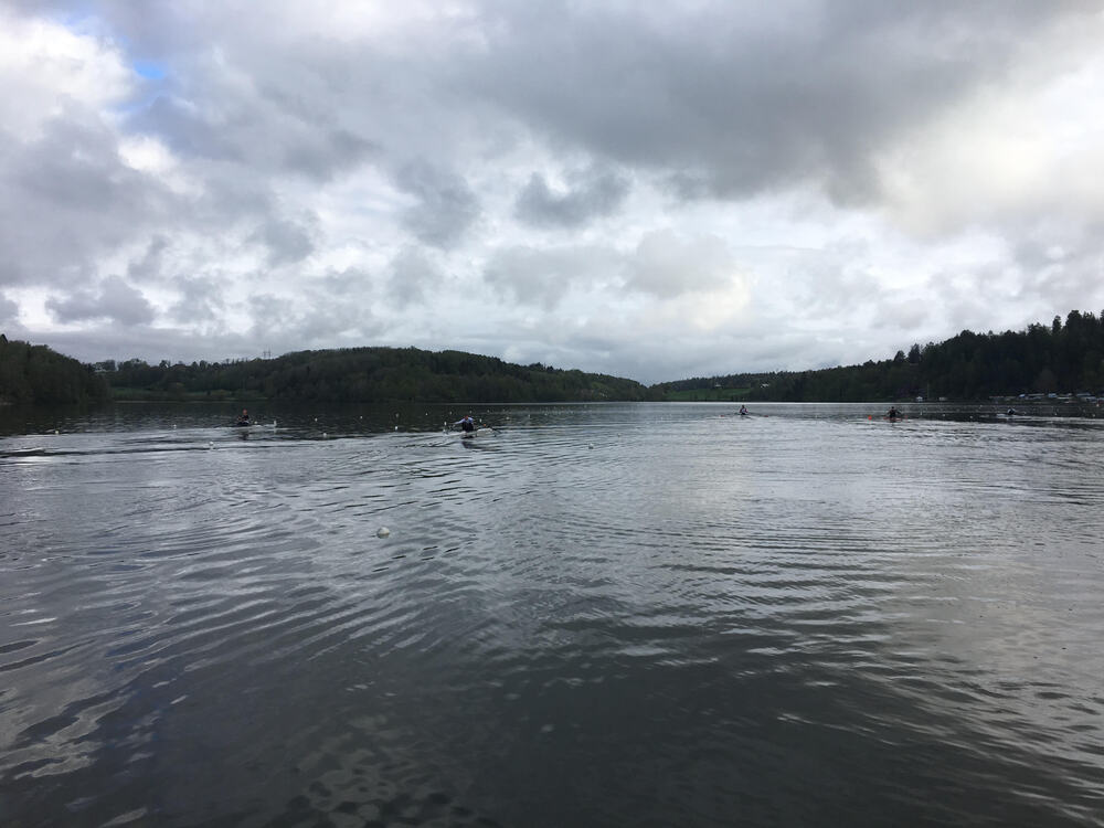 Årungenregattaen 2019 219997