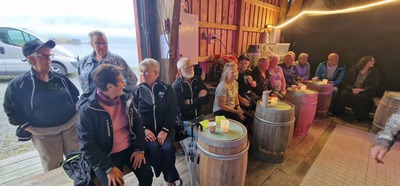 Bryggedans 23.06.2026 246180