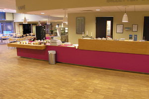 Prosjekter Glomdalsmuseet